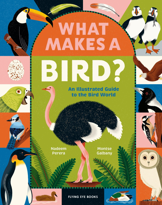 Boek What Makes a Bird? Montse Galbany