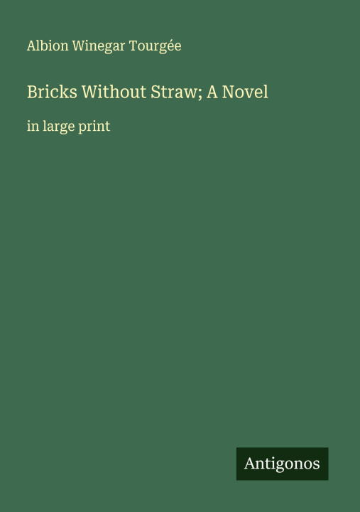 Kniha Bricks Without Straw; A Novel 