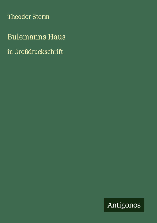 Kniha Bulemanns Haus Theodor Storm