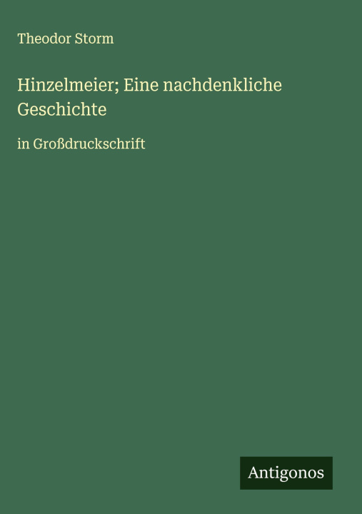 Kniha Hinzelmeier; Eine nachdenkliche Geschichte Theodor Storm
