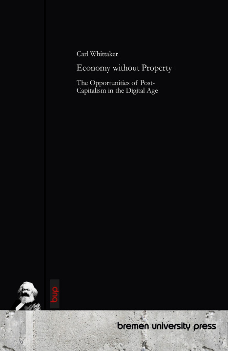 Knjiga Economy without Property 
