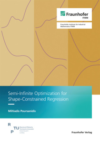 Kniha Semi-Infinite Optimization for Shape-Constrained Regression Miltiadis Poursanidis
