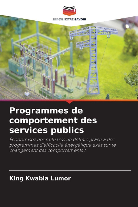 Kniha Programmes de comportement des services publics King Kwabla Lumor