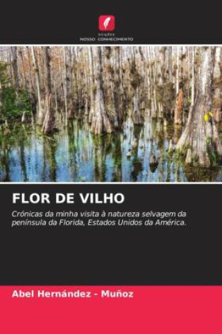 Kniha FLOR DE VILHO Abel Hernandez - Muñoz
