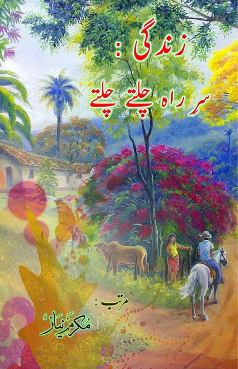 Boek Zindagi - sar-e-rah chalte chalte Mukarram Niyaz