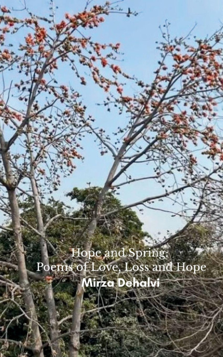 Kniha Hope and Spring Mirza Dehlavi