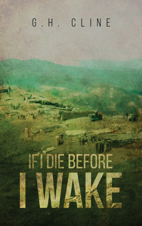 Kniha If I Die Before I Wake 
