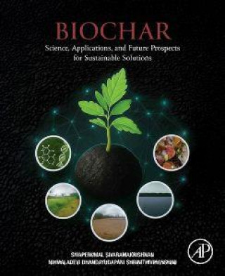 Kniha Biochar Sivaperumal Sivaramakrishnan