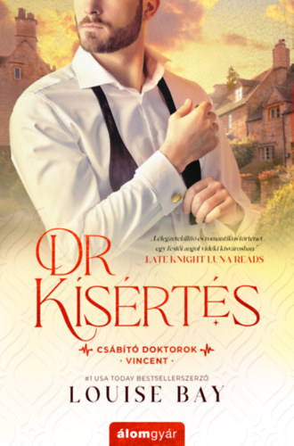 Kniha Dr. Kísértés Louise Bay