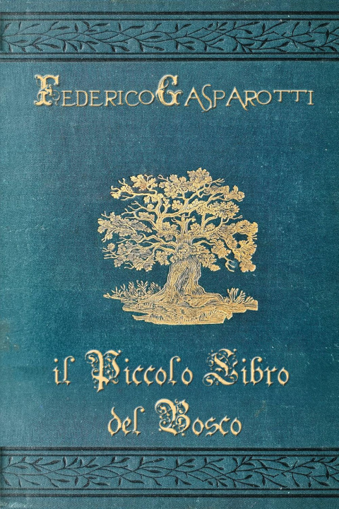 Kniha piccolo libro del bosco Federico Gasparotti