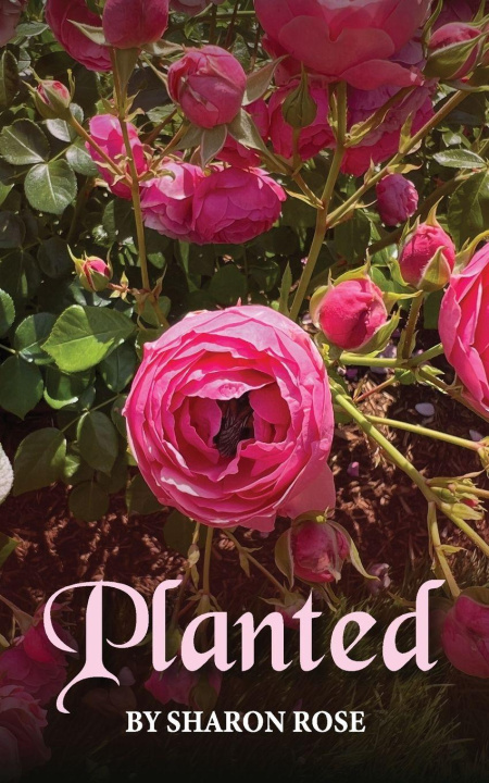 Kniha Planted Sharon Rose