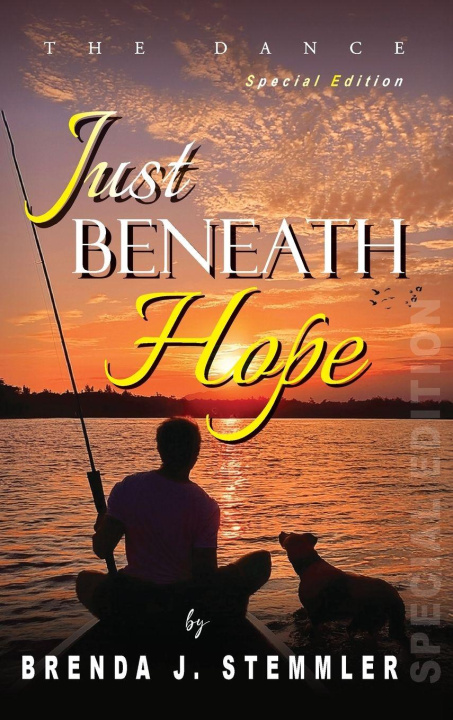 Kniha Just Beneath Hope Brenda J. Stemmler