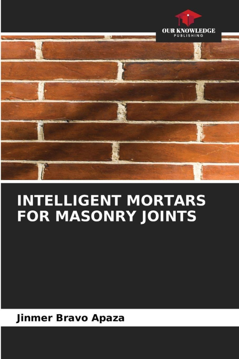Kniha INTELLIGENT MORTARS FOR MASONRY JOINTS Jinmer Bravo Apaza