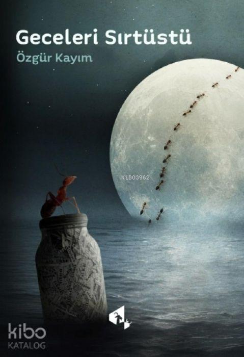 Boek Geceleri Sirtüstü 