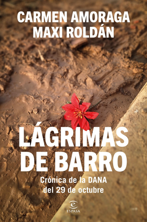 Knjiga LAGRIMAS DE BARRO CARMEN / ROLDAN