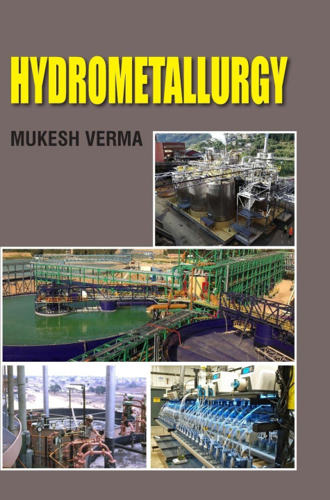 Kniha Hydrometallurgy Mukesh Verma