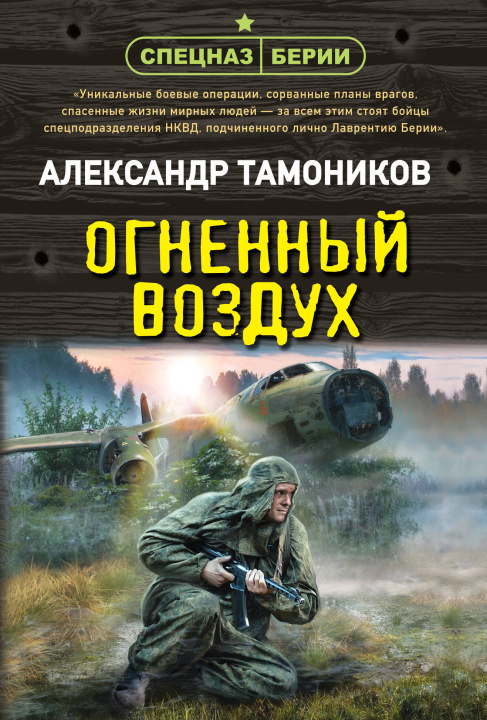 Kniha Огненный воздух Александр Тамоников