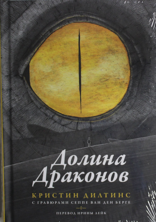 Kniha Долина драконов К. Дилтинс