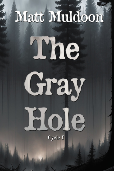 Kniha The Hole Gray Matt Muldoon