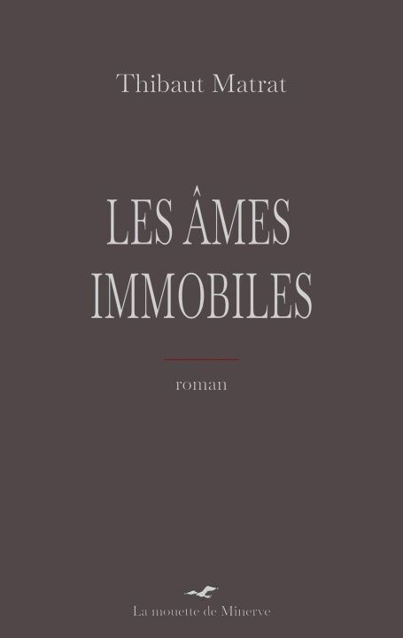 Kniha AMES IMMOBILES MATRAT THIBAUT