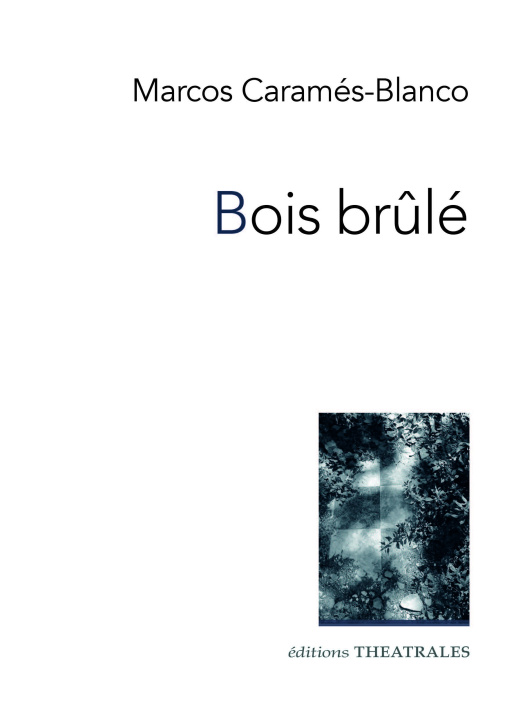 Kniha Bois brulé Caramés-Blanco