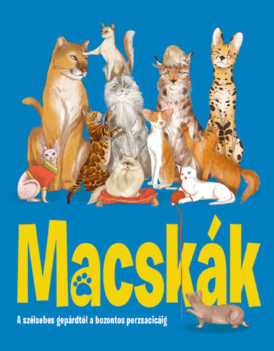 Kniha Macskák Eliza Jeffery Griffin