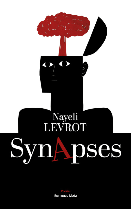 Kniha Synapses Nayeli Levrot