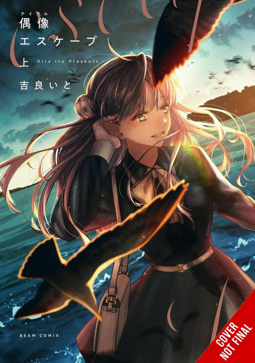 Buch IDOLS ESCAPE KIRA ITO