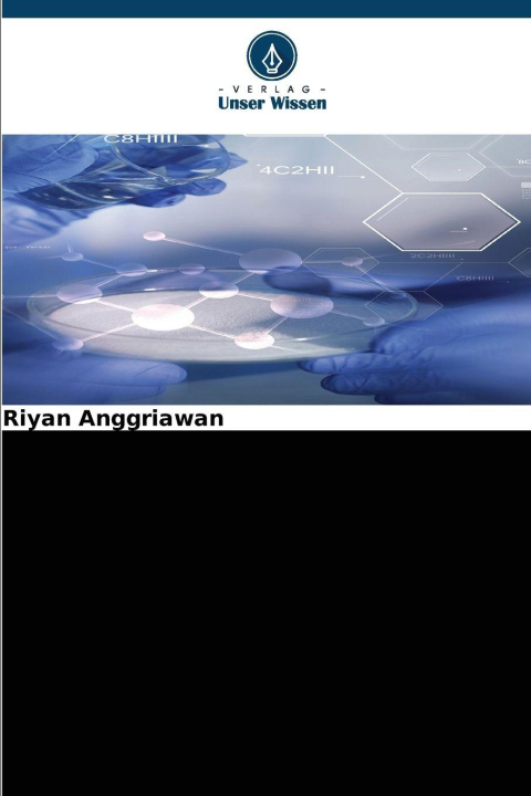 Libro Nanostrukturierte Abgabesysteme Riyan Anggriawan