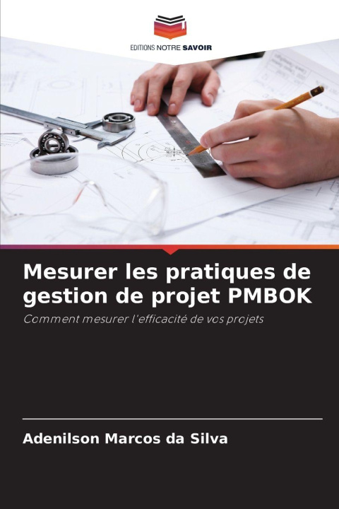 Kniha Mesurer les pratiques de gestion de projet PMBOK Adenilson Marcos da Silva
