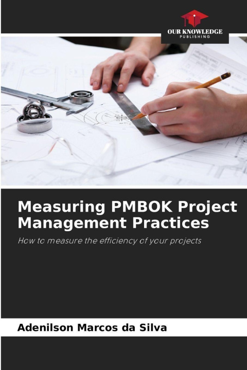 Kniha Measuring PMBOK Project Management Practices Adenilson Marcos da Silva