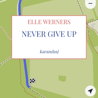 Kniha NEVER GIVE UP ELLE WERNERS