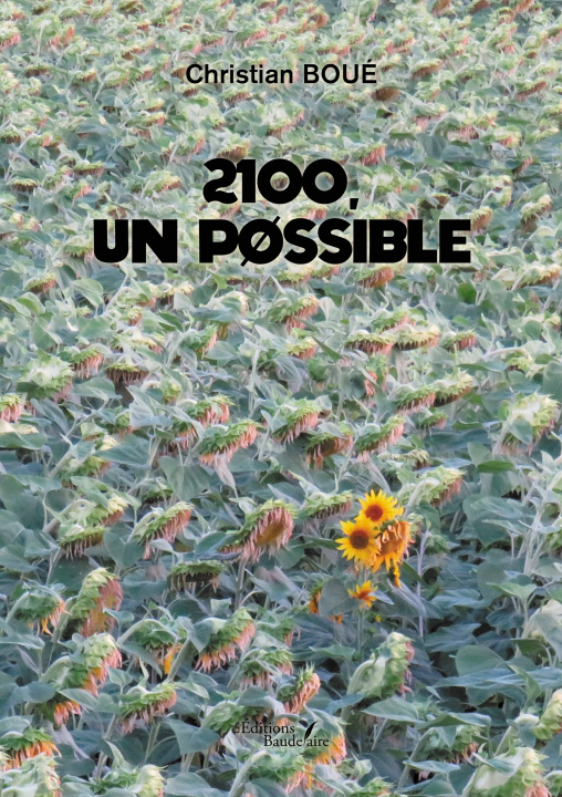 Kniha 2100, un possible Christian BOUÉ