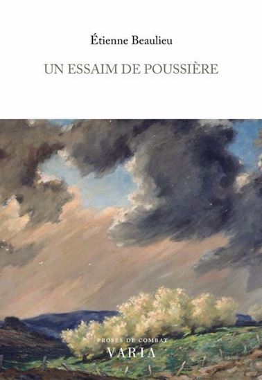 Kniha UN ESSAIM DE POUSSIERE BEAULIEU ETIENNE