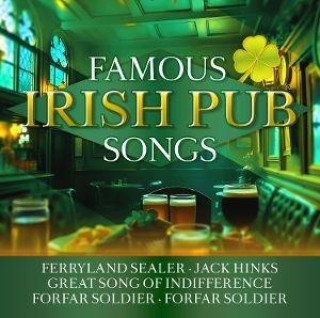 Audio Famous Irish Pub Songs 