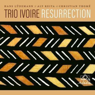 Audio Resurrection Trio Ivoire