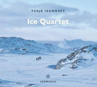 Audio Ice Quartet 
