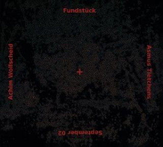 Audio Fundstück Asmus Tietchens & Achim Wollscheid