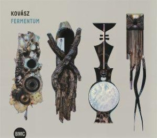 Audio Fermentum 
