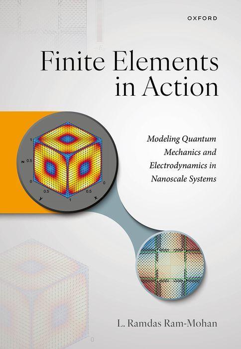 Kniha Finite Elements in Action Ram-Mohan