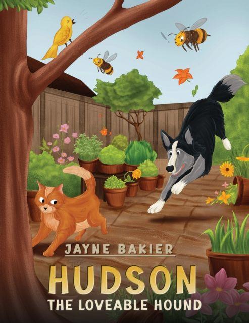 Kniha Hudson Jayne Bakier