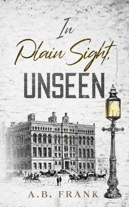 Kniha In Plain Sight, Unseen A.B. Frank