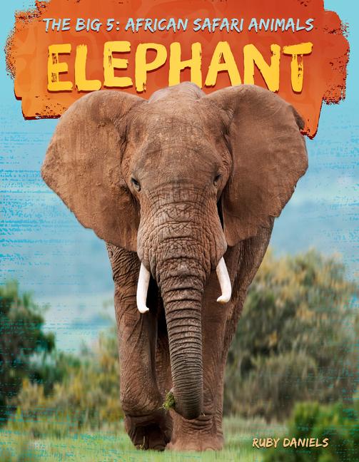 Kniha Elephant 
