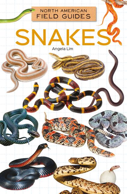 Boek Snakes 