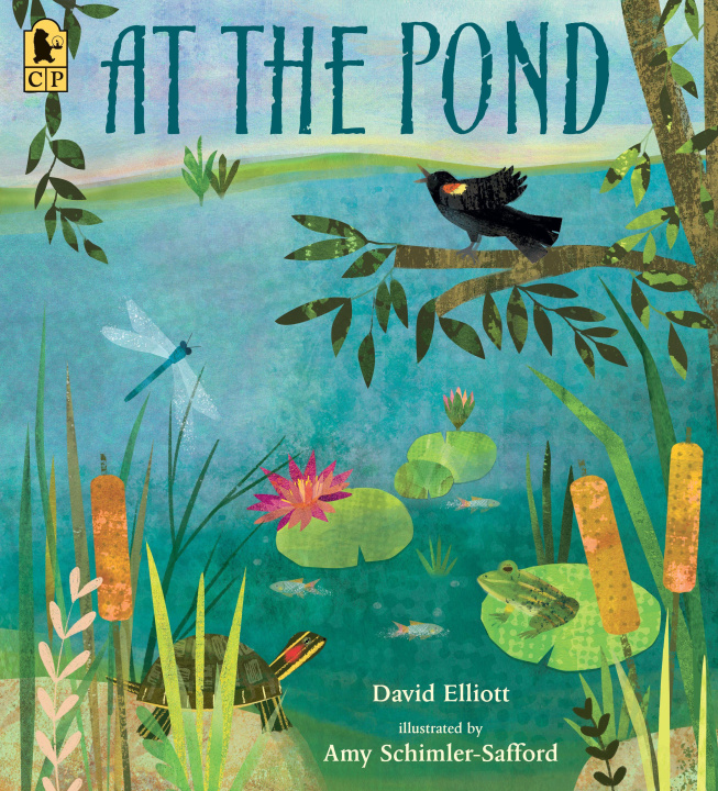 Kniha At the Pond Amy Schimler-Safford