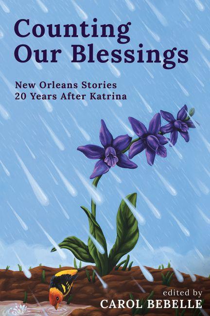 Kniha Counting Our Blessings 