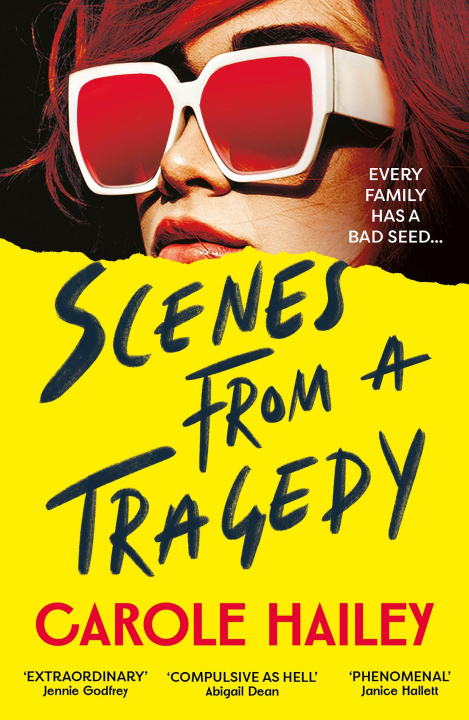 Kniha Scenes from a Tragedy Carole Hailey