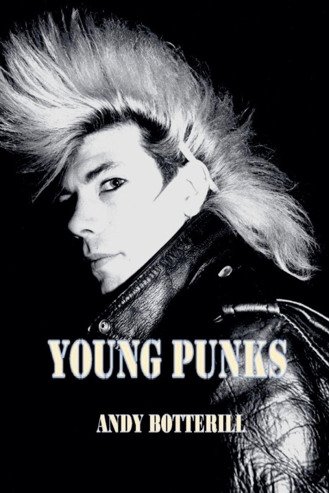 Kniha Young Punks Andy Botterill