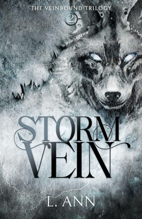 Kniha Stormvein L. Ann