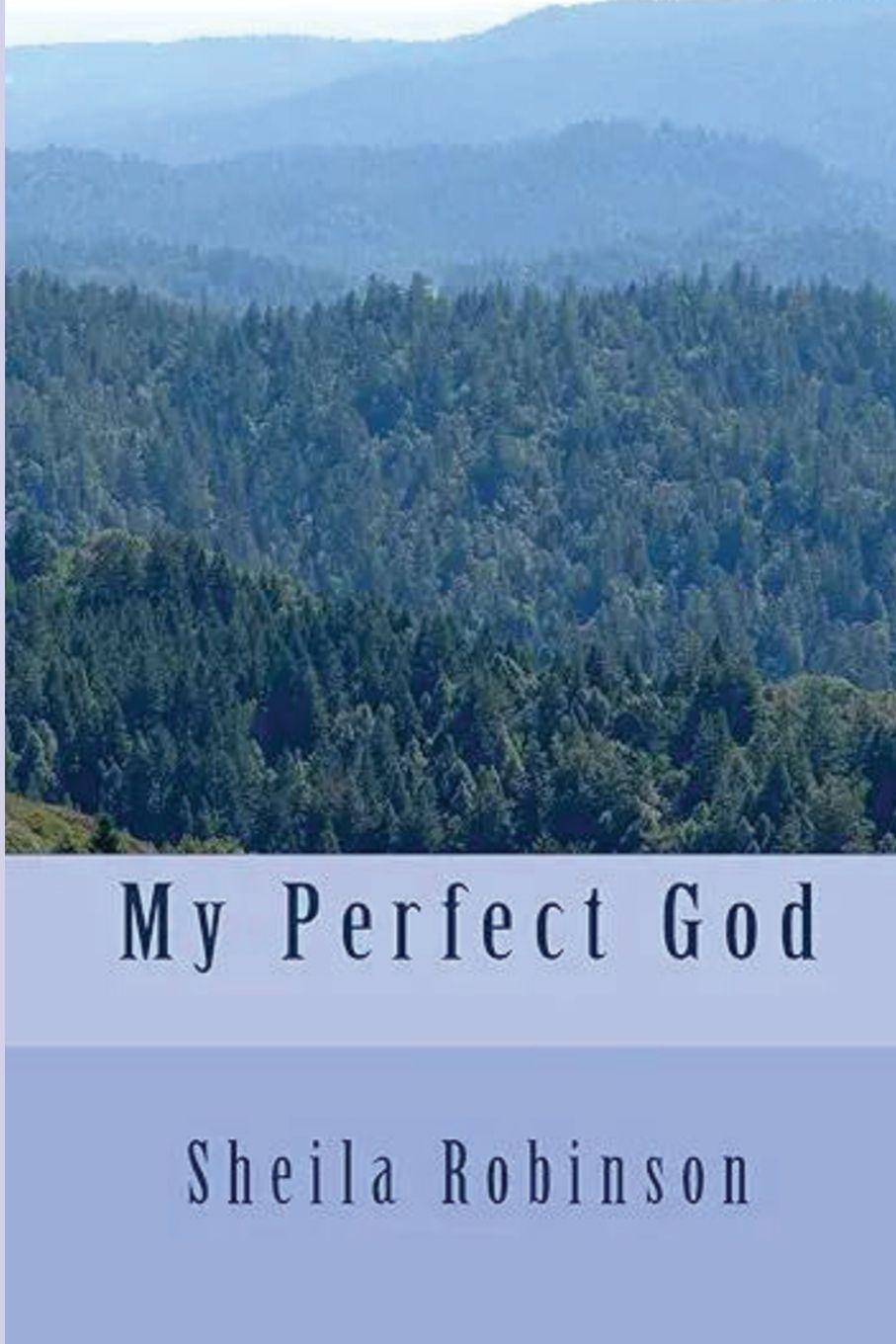 Kniha My Perfect God Sheila Robinson